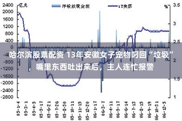 哈尔滨股票配资 13年安徽女子宠物叼回“垃圾”，嘴里东西吐出来后，主人连忙报警