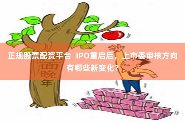 正规股票配资平台  IPO重启后，上市委审核方向有哪些新变化？