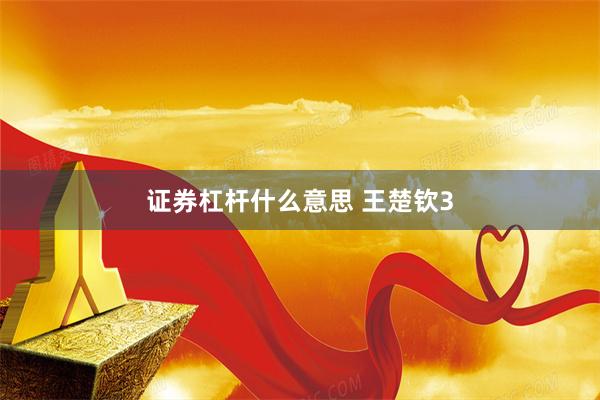 证券杠杆什么意思 王楚钦3