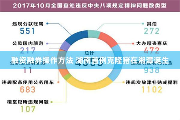 融资融券操作方法 湖南首例克隆猪在湘潭诞生